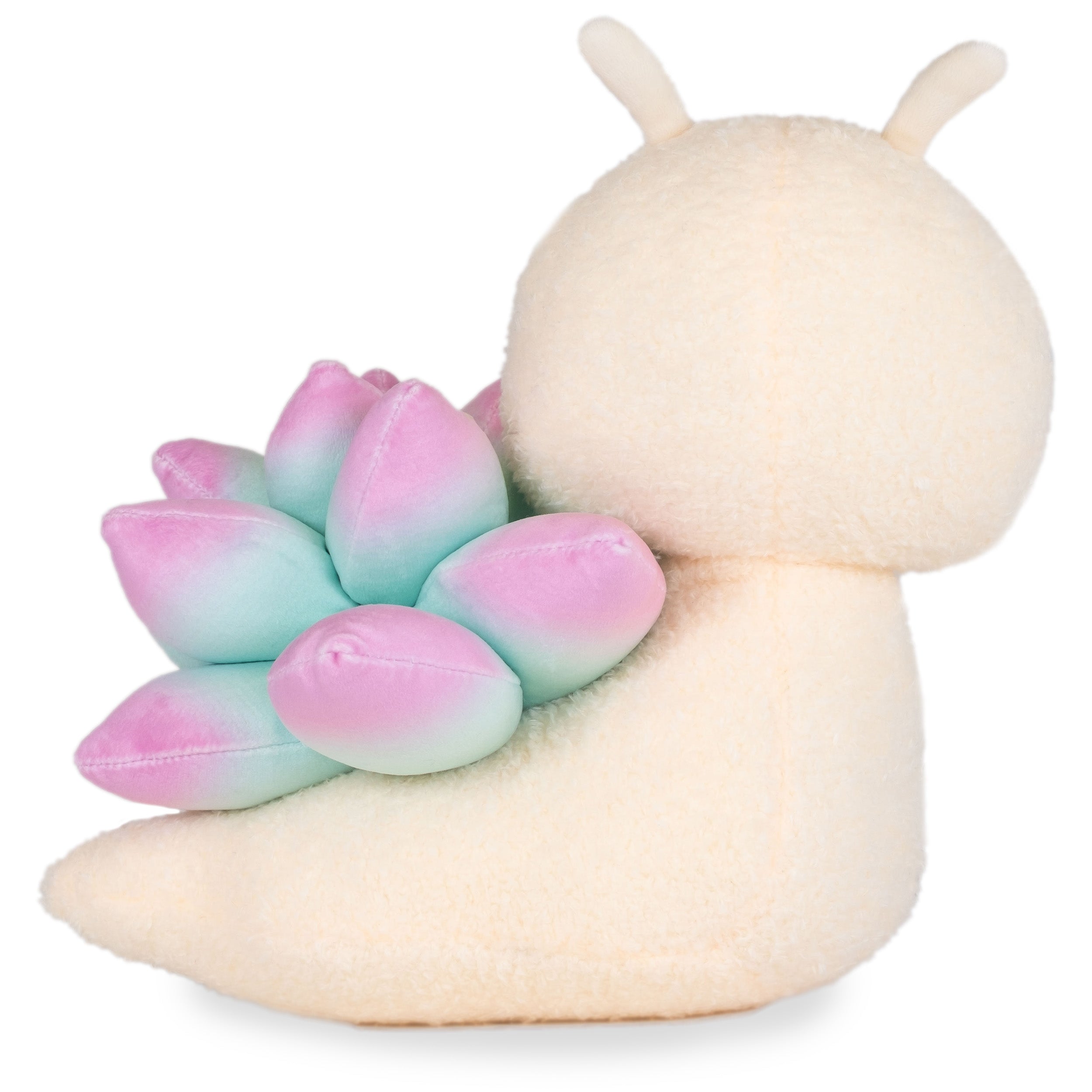 succulent.snail.trail twitter Sage the Succulent Snail